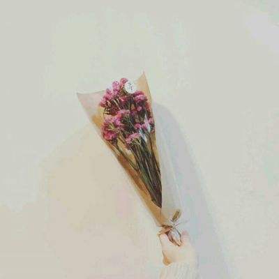 少女终末战争内购破解版下载